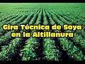 Gira Técnica de Soya en la Altillanura