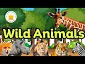 Wild animals name  sounds realtime animals tamilarasi english