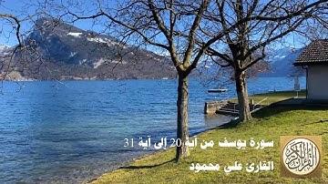 علي محمود - سورة يوسف من آية 20 إلى آية 31 - وَشَرَوْهُ بِثَمَنٍ بَخْسٍ