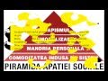 Piramida Apatiei Sociale