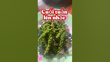 Dàn nhạc nặng quá, kéo đi phải ăn đã#show mini#kẹo kéo#music