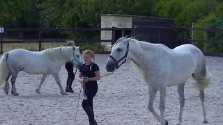 Stage - Ecuries De Cenlis - 3