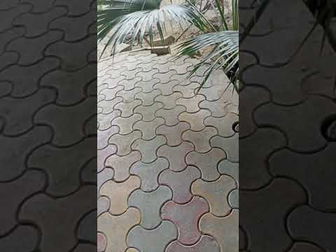 Stranger puppy #shortvideos