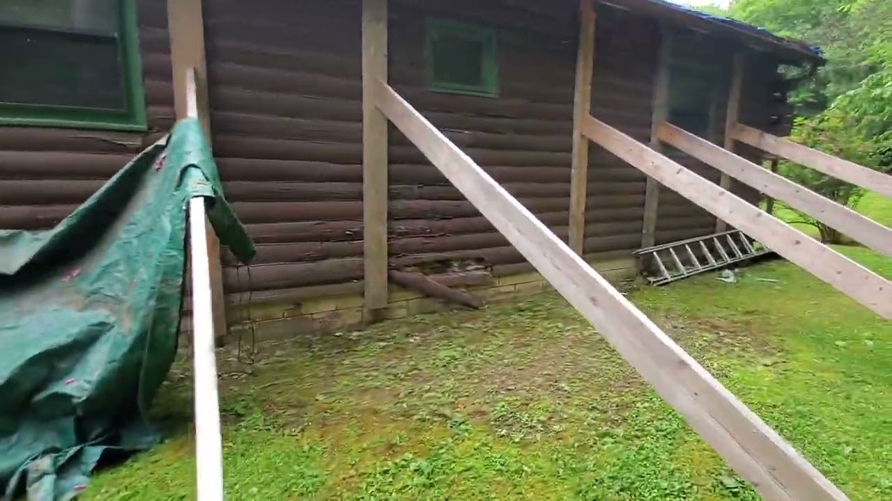 Carpenter Ant damage to Log Cabin