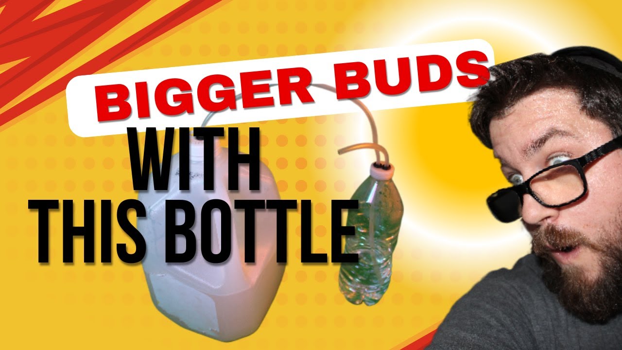 DIY CO₂ Generator for Your Grow Room – Sugar + Yeast Method!