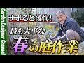 【忘れがち】暖かくなる前に必ず必要な庭作業について解説します！【庭】【ガーデンデザイン】【外構】