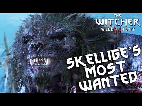 Video: Witcher 3 Patch 1.11 Befasst Sich Endlich Mit Skelliges Most Wanted Quest