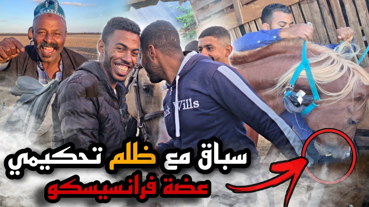 منافسة صعبة بين المتسابقين بالخيول 😱 لكن هناك جدل تحكيمي . في نظركم من الفائز ؟ مغامرة/تشويق/إثارة