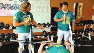 GAINOMAX - WORKING OUT