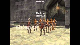 Joining San d'Oria (November 13,2010)
