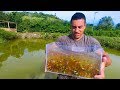 INCRÍVEL VOCÊ NUNCA VIU TANTOS PEIXES EM UM AQUÁRIO - AQUÁRIO NATURAL BRASIL