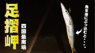 【足摺岬】四国最南端の大型地磯で夜のブッコミ釣りをしてみると・・・？