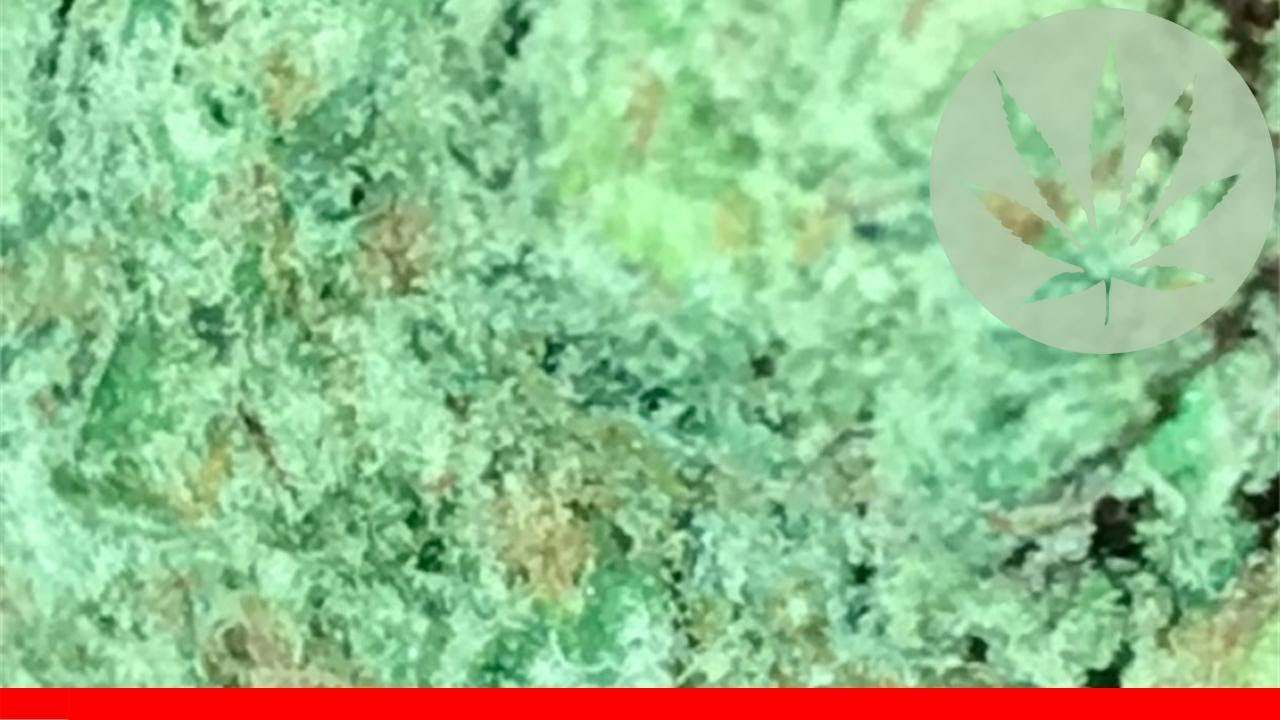 Death Star - All About This Strain