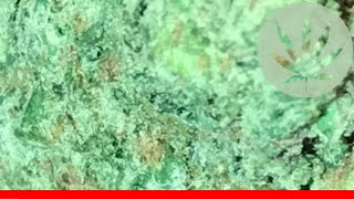 Death Star - All About This Strain