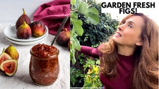 MAKE FRESH FIG JAM, with LESS SUGAR and FALL SPICES! (Super Easy Recipe!)