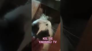 Soğuktan Korunabilmek Için Sığınmış Kimsesiz, Çaresiz