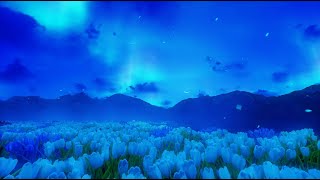 Lily Field Flower [ElementPik.com]