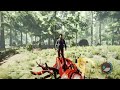 Chillin | The Forest