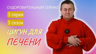 💥ЦИГУН ДЛЯ ПЕЧЕНИ и желчного пузыря. 3 серия 3 сезона #оздоровительныйсериал #цигунонлайн