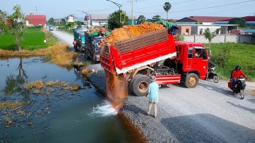 First Start a New Landfill Project! Using Bulldozer Pushing Soil with Dump Truck 5Ton Unloading Soil