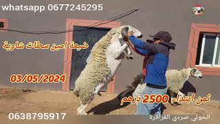 انطلاق عملية بيع اضحية العيد لسنة 2024 عند امين منطقة سطات ثمن ابتداء من 2500 درهم