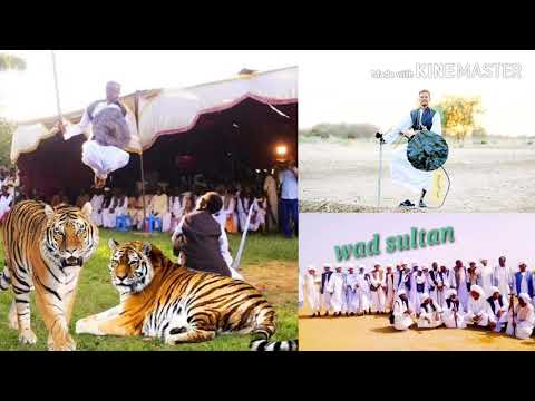 دولة بناتا بيت معلا منديرت تسقل وعلم