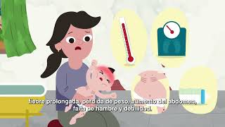 Leishmaniasis visceral. Prevención, síntomas y tratamiento