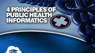 Four Principles of Public Health Informatics