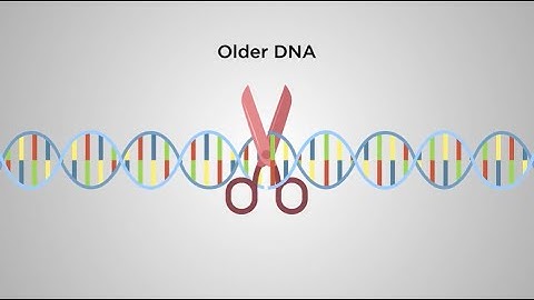 How does DNA age and how do we rejuvenate DNA?