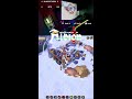 Hai pe LIVE "Albion Online,, MMORPG👋#albiononline #gamingromania #jocurionline
