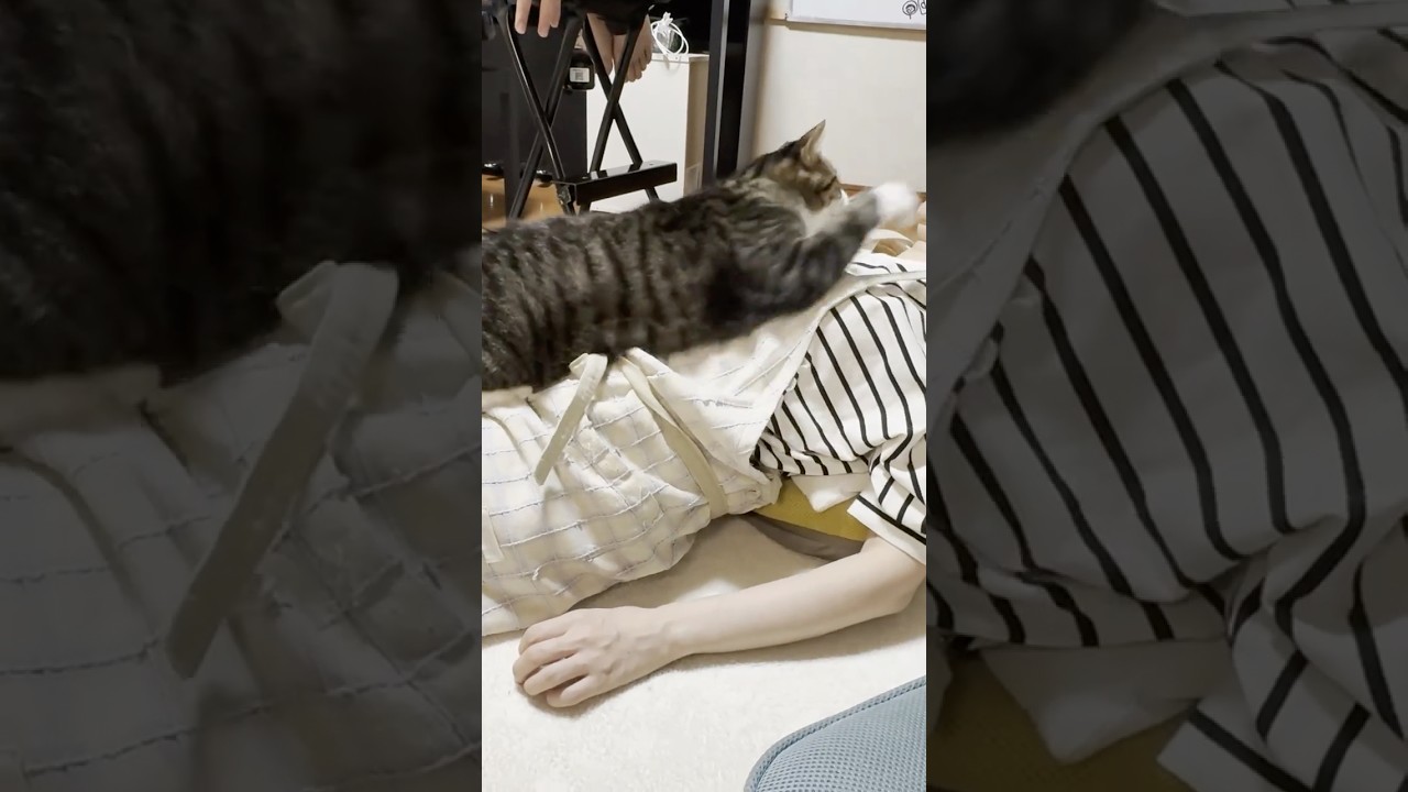 笑うな、ハゲてないわ