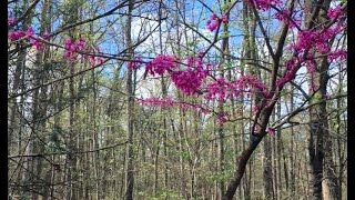 Easter/Passover Reflection