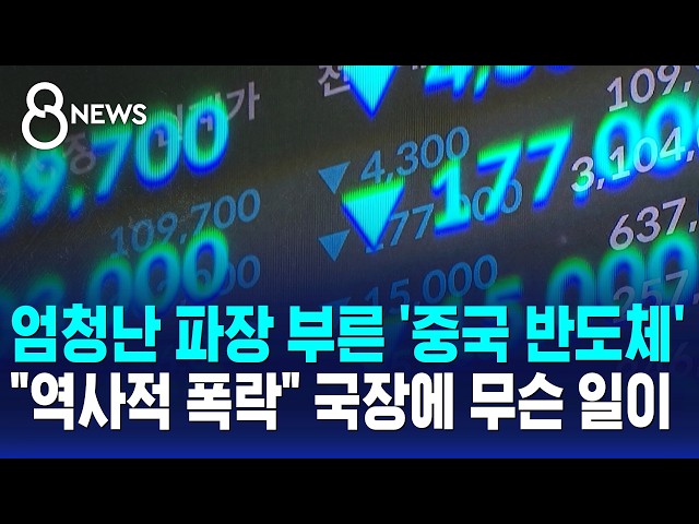 엄청난 파장 부른 '중국 반도체'.."역사적 폭락" 국장에 무슨 일이 / SBS 8뉴스
