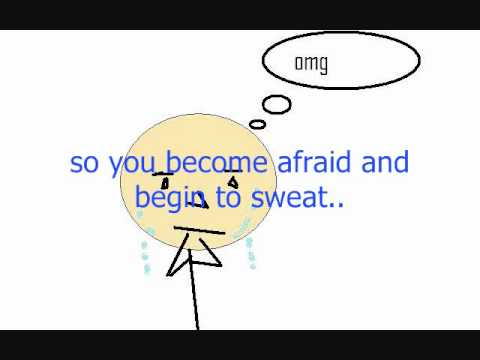 cannon bard theory ap psychology youtube cannon bard theory