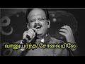 வானுயர்ந்த சோலையிலே  நீ நடந்த பாதையெல்லாம்|Vanuyarntha Solaiyilea|SPB Songs|Tamil Music Album