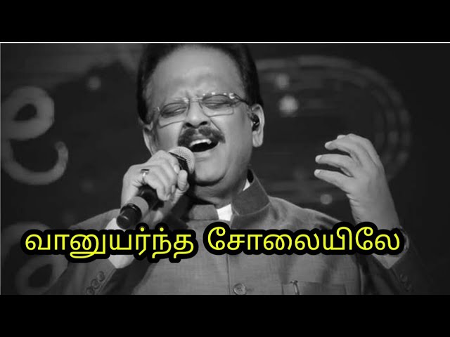 வானுயர்ந்த சோலையிலே  நீ நடந்த பாதையெல்லாம்|Vanuyarntha Solaiyilea|SPB Songs|Tamil Music Album class=