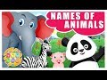 Learn Names of Animals for Kids | Educational Video for Children | Cartoon Doo Doo TV