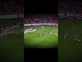 Savarino