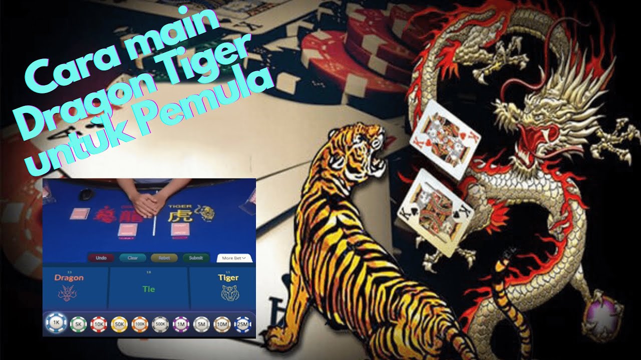 dragon tiger cara main