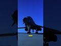 „Ein Bomber mit Schnurrhaaren? Dieses Tier überrascht alle!“