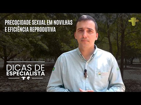 PRECOCIDADE SEXUAL EM NOVILHAS E EFICIÊNCIA REPRODUTIVA | DICAS DE ESPECIALISTA