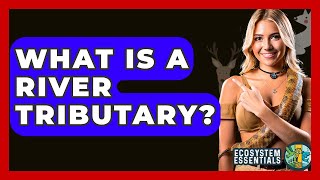 What Is A River Tributary? - Ecosystem Essentials