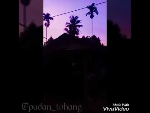 Nata pe jugul AU anakmon