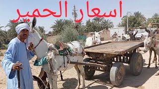 اسعار الحمير بسوق السبت اليوم ٢٥/ ٤/ ٢٠٢٦م