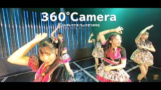 【360°Camera】シダレヤナギ / ちょうぜつかわE（NMB48）