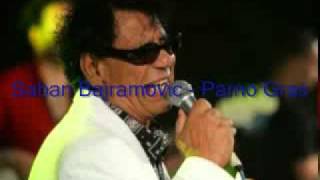 Video thumbnail of "Saban Bajramovic - Parno Gras"