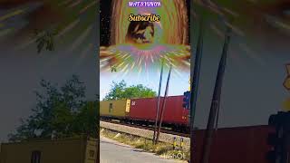 CC 2 06 DINAS KA KONTAINER  #shorts #train #keretaapi