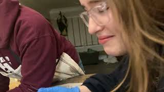 Biology Lab 9.2 WORM