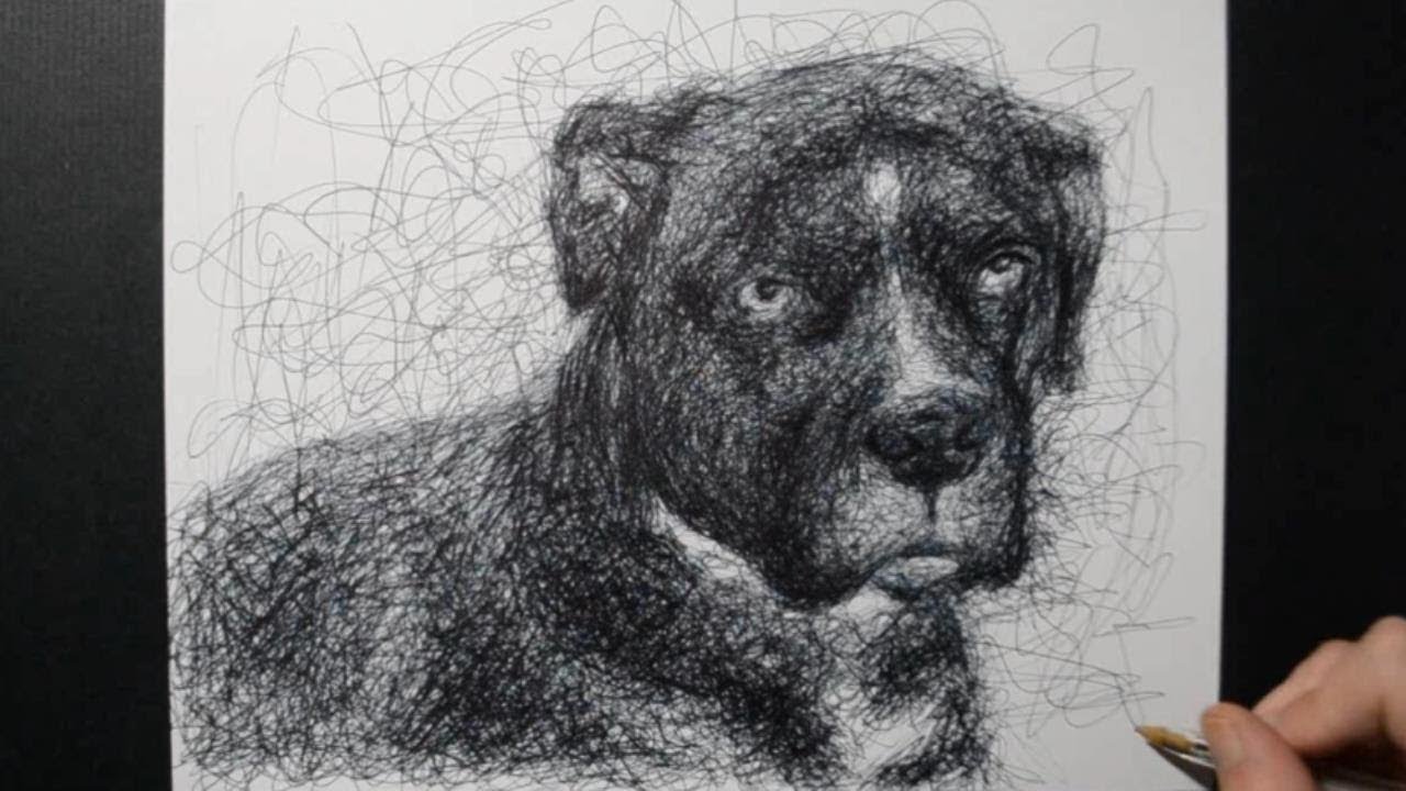 Draw Your Pets / Fan Request / Ballpoint Pen Drawing Sketch / Day 066