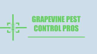 Grapevine Pest Control Pros - Bed Bug Control Services in Grapevine TX